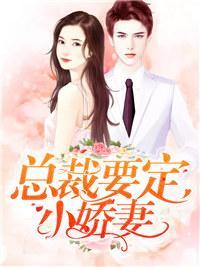 总裁要定小娇妻封面