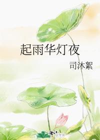 起雨华灯夜封面