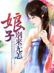 娘子，别来无恙封面