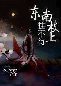 东南枝上挂不得！！封面