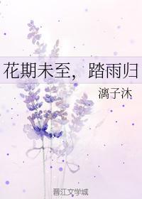 花期未至，踏雨归封面