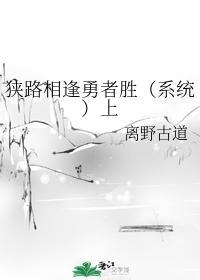 狭路相逢勇者胜（系统）上封面