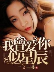 我曾爱你似星辰陆云熙顾柔封面
