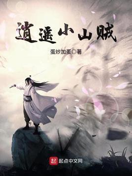 逍遥小山贼封面