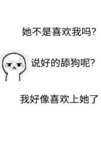 下套封面