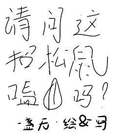 请问这招松鼠嗑瓜子吗封面