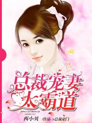 总裁宠妻太霸道封面