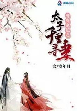 清冷宠妃之太子千里寻妻封面