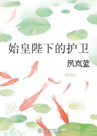 始皇陛下的护卫封面