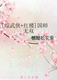 [综武侠+红楼]国师无双封面