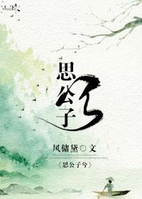 思公子兮封面