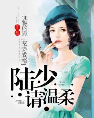 宠妻成瘾：陆少请温柔封面