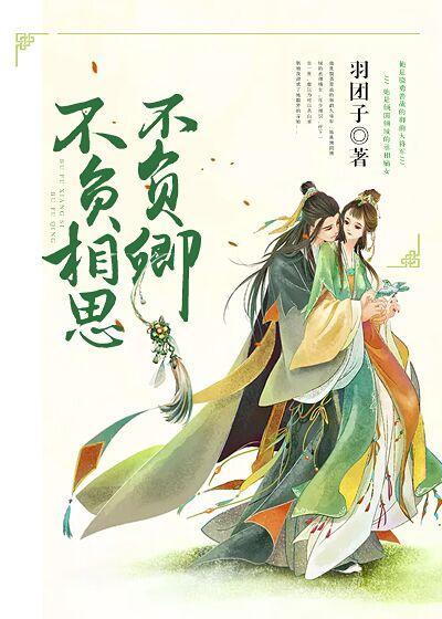 不负相思不负卿封面