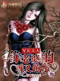 军长大人，你老婆的魂又跑了封面