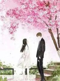 掠婚封面
