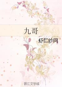 九哥封面