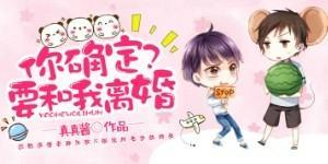 你确定要和我离婚？封面