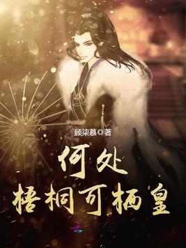 何处梧桐可栖皇封面