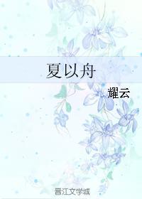 夏以舟封面