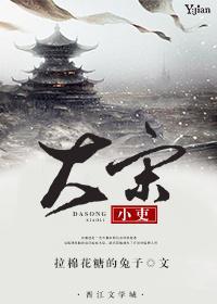 大宋小吏封面
