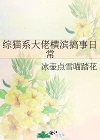 综猫系大佬横滨搞事日常封面