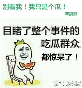 别看我！我只是个瓜！封面