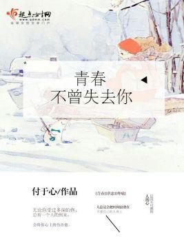 青春不曾失去你封面