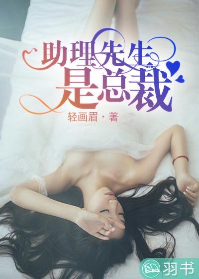 助理先生是总裁封面