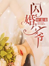 闪婚少爷好羞羞封面