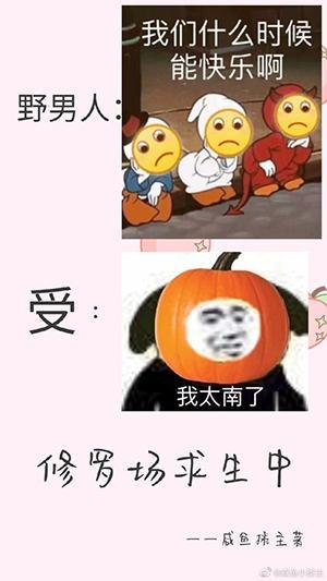 修罗场求生中[快穿]封面