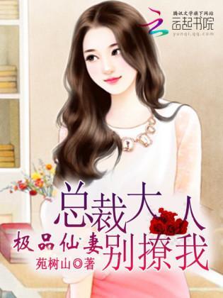 极品仙妻：总裁大人别撩我封面
