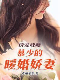 总裁大人离婚吧封面