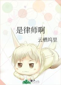 是律师啊封面