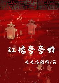红楼夸夸群封面