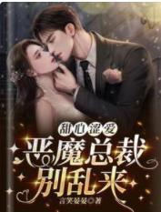 甜心涩爱，恶魔总裁别乱来封面