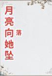 月亮向她坠落封面