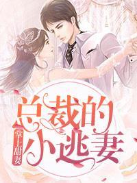 掌上甜妻：总裁的小逃妻封面