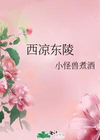 西凉东陵封面