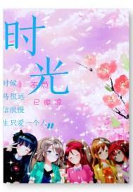 时光不负已微凉封面