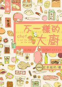 不一样的大厨封面