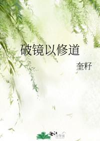 破镜以修道封面