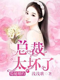隐秘婚约，总裁太坏了封面