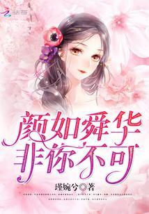 颜如舜华，非你不可封面