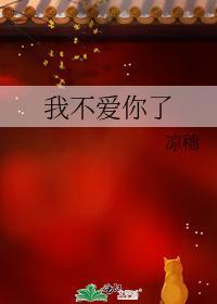 我不爱你了封面