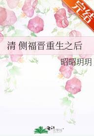 侧福晋重生之后封面