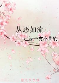 从恶如流封面