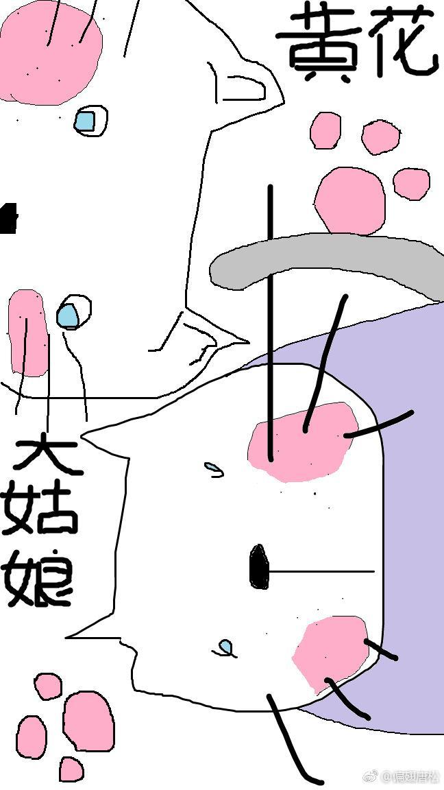黄花大姑娘封面