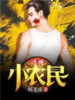 透视小农民封面