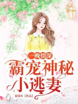 一晚情深：霸宠神秘小逃妻封面
