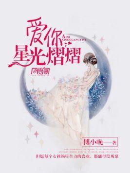 爱你星光熠熠封面